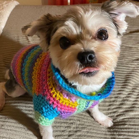 Small Dog Sweater, Toy Dog Clothes,  Unique, Hand Knit One of a Kind, Colorful - Picture 1 of 16
